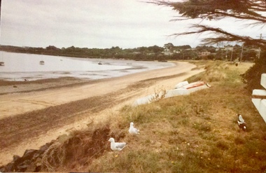 Photograph, Rhyll, 1980s