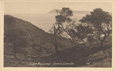 Photograph - Post Cards, Vallan Studios et al, Phillip Island