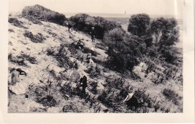Photograph (item) - Mutton Bird Egging on Phillip Island, 1905