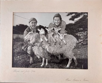 Photograph, Colin and Vera Smith with sheep and 4 lambs on it's back, 1955