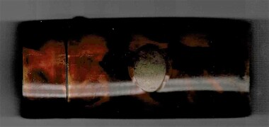 Functional object, Tortoise Shell Spectacle Case