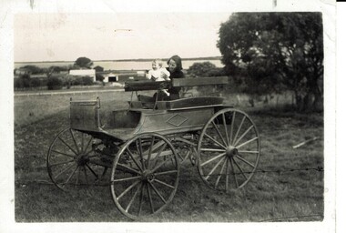 Photograph, Mrs Jansson, John on the McHaffie buggy