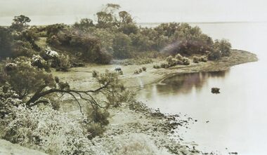 Postcard, Antique postcards of Phillip Island