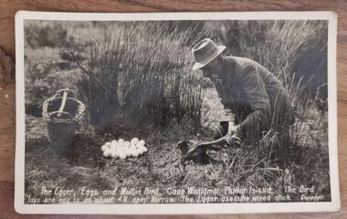 Photograph, The Egger, Eggs and Mutton Bird, Cape Woolamai, Phillip Island
