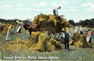 Postcard, Harvest Time and Scene at San Remo