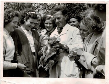 Photograph, Bert West and Koala
