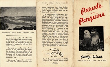 Pamphlet, 'Parade of Penguins' & Phillip Island Visitors guide', Unknown