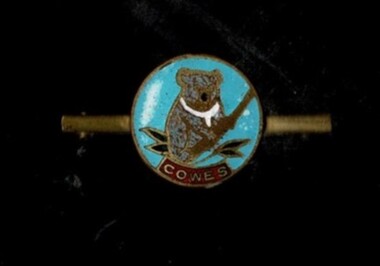 Badge, Souvenir badge/ brooch
