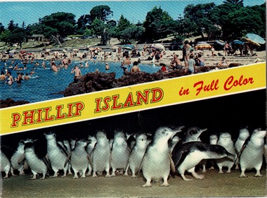 Booklet, Phillip Island in Full Colour