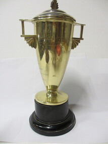 Gold Trophy