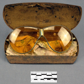 Domestic object - Folding Polarised Sunglasses in Case