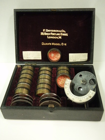 Model eye, F Davidson & Co, Dunn's Model Eye, early 20th century