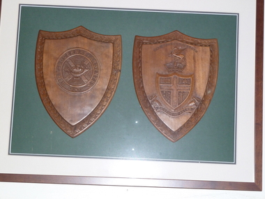 Wooden Shield