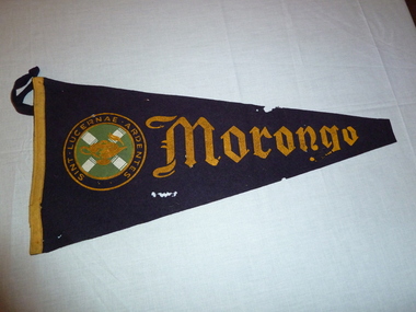 Banner pennant