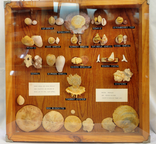 shells, Lavell, Edgar and Alan, first half 20th century