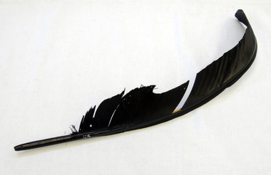 feather quill pen, 19th Century