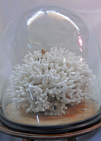 coral ornament, c. early to mid 20th century