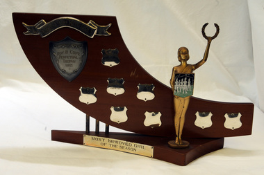 trophy