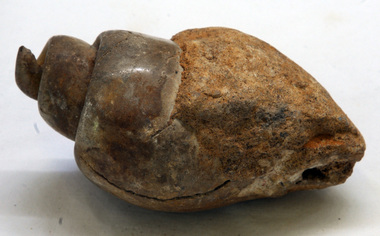 fossil
