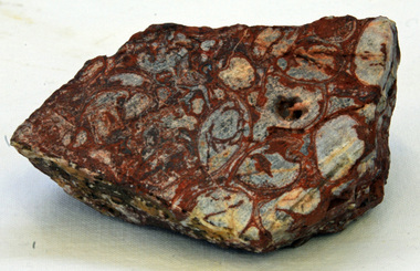 jasper