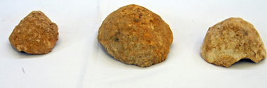 fossils