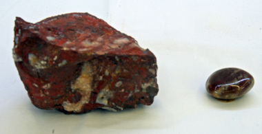 jasper fossils