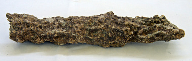 fossil