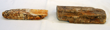 petrified wood