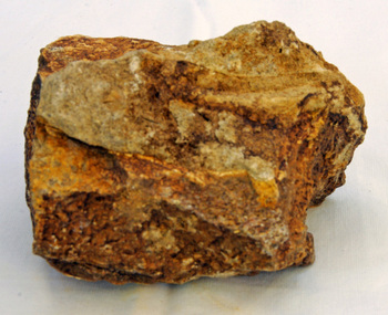 fossil