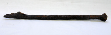 bridge spike