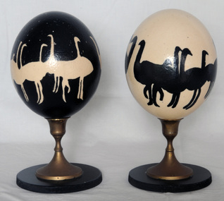eggs