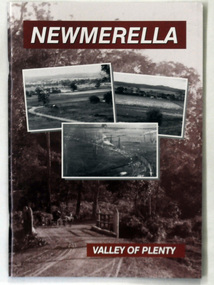 book, Newmerella Valley of Plenty, 2010