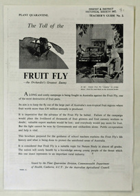 brochure, The Toll of the Fruit Fly, C 1950's