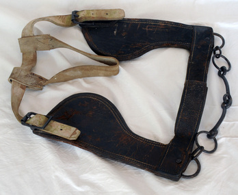 horse winkers, late 19th -mid 20th century