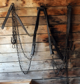 harness