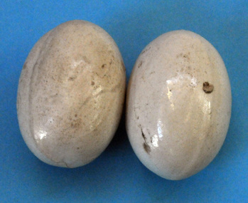 ceramic eggs, first half 20th century