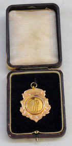 medal, 1928