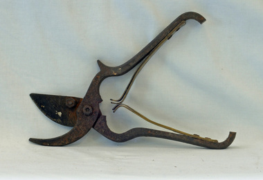 secaateur, first half 20th century
