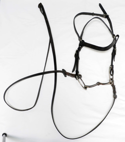 bridle and reins, first half 20th century