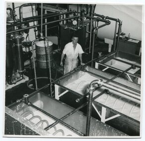 black and white photograph, mid 20th century