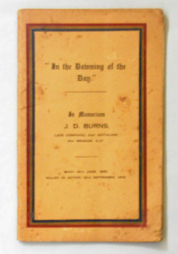 book, Brown, Prior & Co, In the Dawning of the Day, 1916