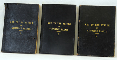 books, Robt. S. Bain, Key to the System of Victorian Plants 2, 1885