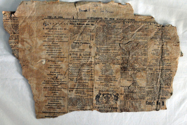 newspaper, December 13 1884
