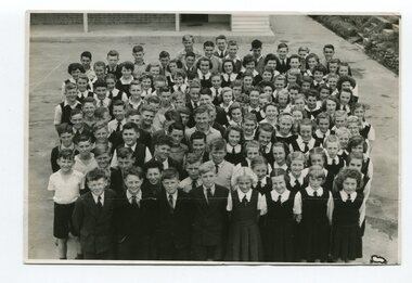 photograph, C 1950