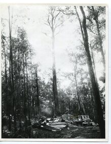 black and white photograph, 1975