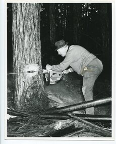 black and white photograph, VR Printing Works, 1975