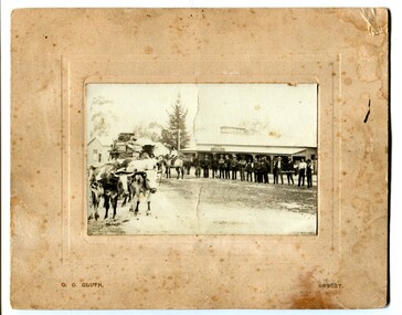 black and white photograph, 1900 1910