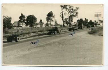 black and white photograph, mid 20th century