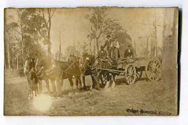 black and white photograph, second half 19th century?