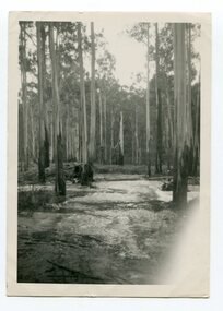 black and white photograph, 1939